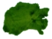 Dyed Better Rabbit Skin: Green - 134-072 (Y2ERL)