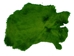 Dyed Better Rabbit Skin: Green - 134-072 (L7)
