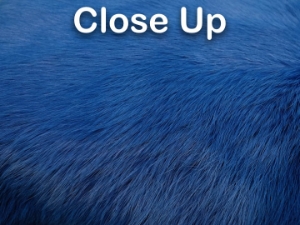 Dyed Better Rabbit Skin: Blue 