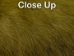 Dyed Better Rabbit Skin: Olive - 134-089 (Y2ERJ)