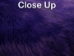 Dyed Better Rabbit Skin: Purple - 134-092 (Y2ERJ)