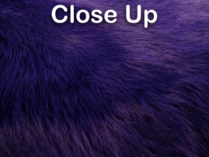 Dyed Better Rabbit Skin: Purple 