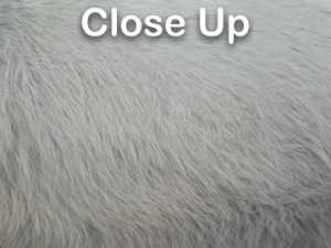 Dyed Better Rabbit Skin: Shadow Gray 
