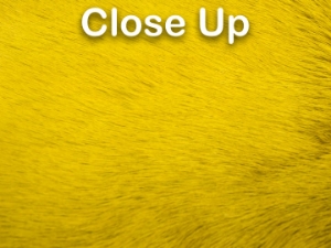 Dyed Better Rabbit Skin: Golden Olive 