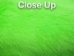 Dyed Better Rabbit Skin: Fluorescent Green - 134-504 (Y2E)