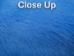 Dyed Better Rabbit Skin: Baby Blue - 134-BLUE (Y2ERJ)
