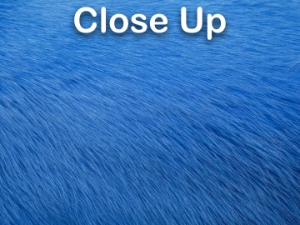 Dyed Better Rabbit Skin: Baby Blue 
