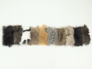 Rabbit Swatch Color Chart 