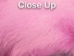 Dyed Better Rabbit Skin: Baby Pink - 134-PINK (Y2ERK)