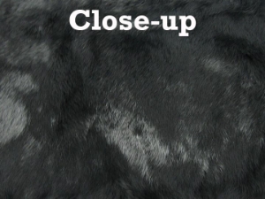 Long Hair Dyed #1 Rabbit Plate: Black 