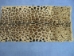 Sheared Printed #1 Rabbit Plate: 18mm: Leopard Pattern - 140-1S-LE (Y2DRD)