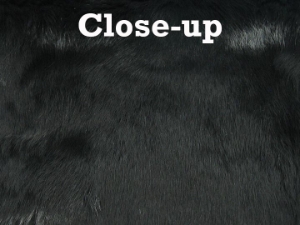 Dyed #4 Rabbit Plate: Black 