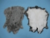 Heavy Low Grade B Czech Female Rabbit Skin: Natural Colors - 140-HVN-B (Y2GRI)