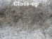 Heavy Low Grade B Czech Female Rabbit Skin: Natural Colors - 140-HVN-B (Y2GRI)