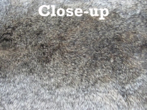 Heavy Low Grade B Czech Female Rabbit Skin: Natural Colors 