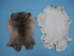 Heavy Low Grade C Czech Female Rabbit Skin: Natural Colors - 140-HVN-C (Y2L)(Y2KRB)