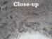 Heavy Low Grade C Czech Female Rabbit Skin: Natural Colors - 140-HVN-C (Y2L)(Y2KRB)