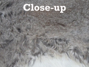 Heavy Low Grade C Czech Female Rabbit Skin: Natural Colors 