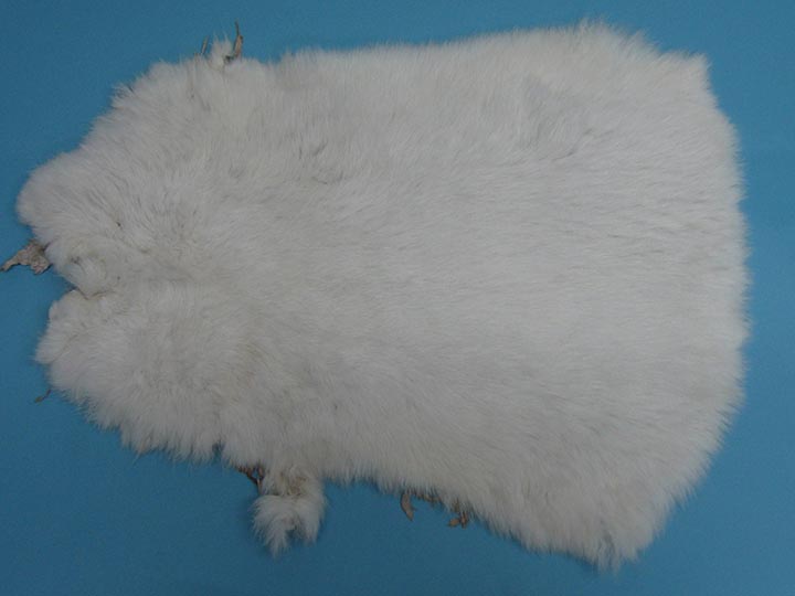 Heavy Low Grade B Czech Female Rabbit Skin: White 