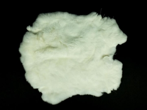 #1 Rex Rabbit: White: Large 