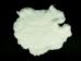 #1 Rex Rabbit: White: Medium - 142-11B (Y1JRC)