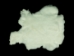 #1 Rex Rabbit: White: Small - 142-11C (Y1JRF)