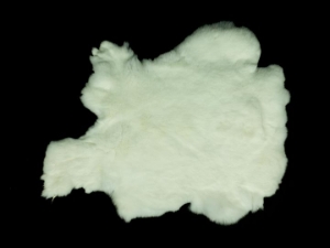 #1 Rex Rabbit: White: Small 
