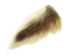 Dyed Deer Tail: Cream - 148-002 (Y1LRI)