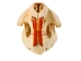 Beaver Skull - 15-202 (Y2JC04)