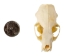 Mink Skull - 15-206 (Y2KC10)
