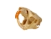 Muskrat Skull: #1 - 15-207-1 (Y1LC02)