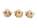 Raccoon Skull - 15-209 (Y3J)