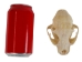 Bobcat Skull - 15-219 (Y1XC11)