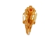 Jack Rabbit Skull - 15-231 (Y2JC08)