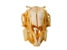 Jack Rabbit Skull - 15-231 (Y2JC08)