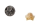 Greater Short-Nosed Fruit Bat Skull - 15-253-11 (Y2DC02)