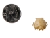 Cave Nectar Bat Skull - 15-253-13 (Y2DC02)