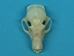 Cave Nectar Bat Skull - 15-253-13 (V1)