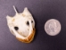 Red Ear Turtle Skull - 15-261 (Y1MC15)