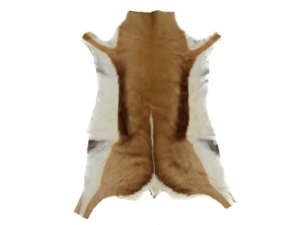 Springbok Skin: #1: Assorted 