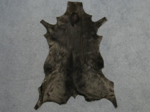 Dyed Springbok Skin: #1: Brown 
