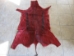 Dyed Springbok Skin: #1: Deep Red - 155-1-DR-AS (K20)