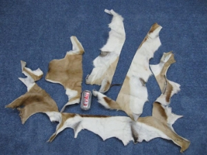 Springbok Fur Scrap (lb) 