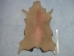 Dyed Springbok: Select Grade: Chocolate Brown - 155-SEL-BN (Y1IRL)