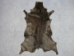 Dyed Springbok: Select Grade: Chocolate Brown - 155-SEL-BN (Y1IRL)