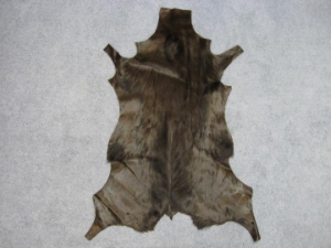 Dyed Springbok: Select Grade: Chocolate Brown 