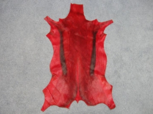 Dyed Springbok: Select Grade: Deep Red 