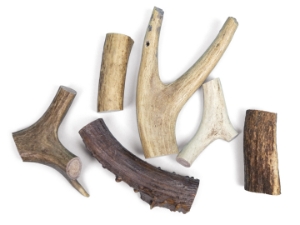 Tumbled Deer Antler Scrap (lb) 