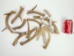 Deer Antler Scrap (lb) - 158-203 (Y1MC09)