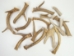 Deer Antler Scrap (lb) - 158-203 (Y1MC09)